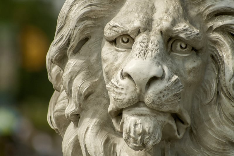 Lion in Serengeti National Park